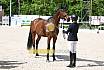 Freitag Reitpferdeprüfung