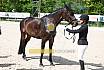 Freitag Reitpferdeprüfung