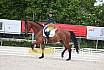 Freitag Reitpferdeprüfung