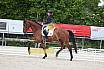 Freitag Reitpferdeprüfung