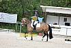 Freitag Reitpferdeprüfung